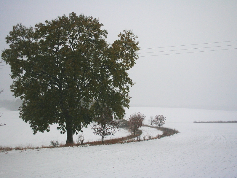 Killikus&reg; Fotographie